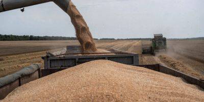 Польша призывает Евросоюз развивать порты для экспорта украинского зерна