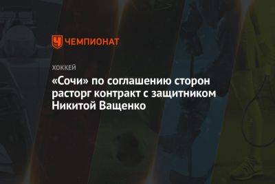 «Сочи» по соглашению сторон расторг контракт с защитником Никитой Ващенко