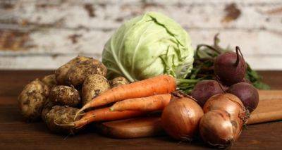 Цены на овощи борщевого набора резко упали: какая стоимость моркови, свеклы, лука и капусты в конце лета