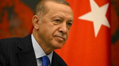 Эрдоган заявил, что хочет возобновить зерновую сделку в «расширенном формате»