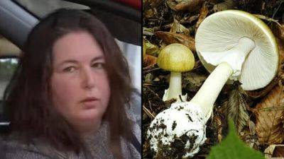 Невестка отравила родителей мужа блюдом из ядовитых грибов