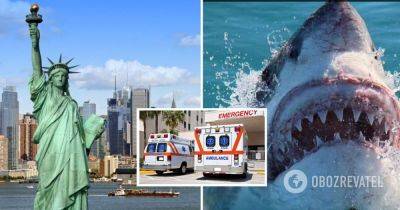 Нападение акулы Нью-Йорк – связанный с пострадавшей, видео и новости мира