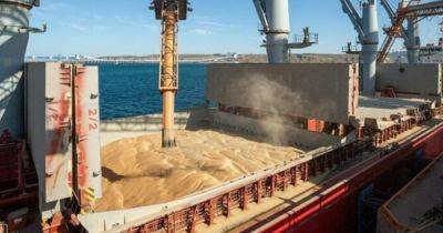 России стало труднее экспортировать зерно после обстрелов украинских портов, — Reuters