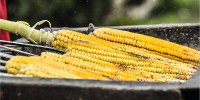 Не только углеводы. Неожиданные факты о пользе кукурузы и пять лучших рецептов с ней - nv.ua - Украина - Мексика