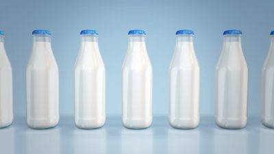 Rabobank: 20 крупнейших мировых производителей молочной продукции