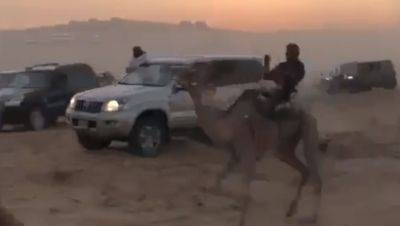 Видео: верблюжьи бега и стрельба на полигоне ЦАХАЛа в Негеве