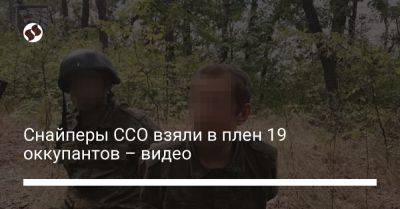Снайперы ССО взяли в плен 19 оккупантов – видео