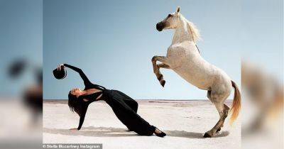Скандальная реклама: Кендалл Дженнер позирует голой на лошади для новой коллекции Стеллы Маккартни