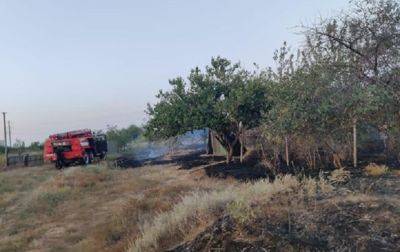 Россияне обстреляли тракторную бригаду в Херсонской области, есть погибший