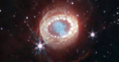 Самый мощный взрыв за 400 лет. Телескоп Уэбб показал неизвестные детали знаменитой сверхновой (фото)