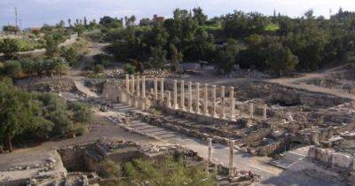 Куриные кости раскрыли точную дату уничтожения древнегреческого города: как это удалось сделать