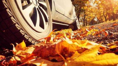Как ухаживать за авто осенью и на что обратить внимание – советы водителям