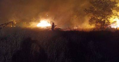 В Феодосии и Керчи пожары и "прилеты": в оккупационной администрации сообщили о сбитых БПЛА (фото)