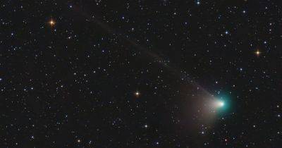 Увидят только самые упрямые: подробная инструкция по наблюдению кометы Нишимура