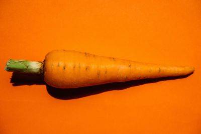Где можно хранить морковь в квартире - полезные советы - apostrophe.ua - Украина