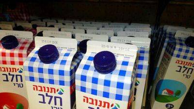 Дефицит молока в Израиле обостряется: "Тнува" произвела на 1 млн литров меньше