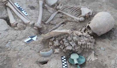Археологи нашли захоронение девочки времен Бронзового века с 180 костями овец - фото - apostrophe.ua - Украина - Казахстан - Astana