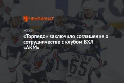 Александр Харламов - «Торпедо» заключило соглашение о сотрудничестве с клубом ВХЛ АКМ - championat.com - Пенза