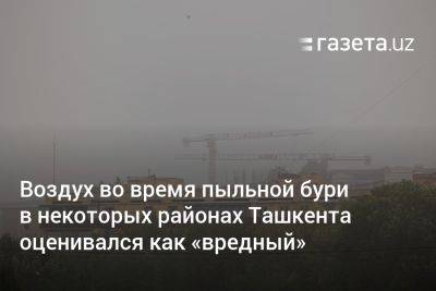Воздух во время пыльной бури в некоторых районах Ташкента оценивался как «вредный»