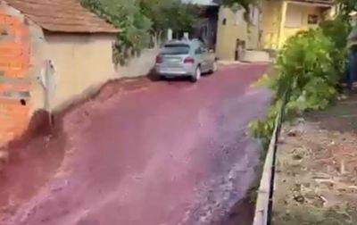 В Португалии улицы города затопили миллионы литров вина - korrespondent.net - Украина - Португалия - Словакия