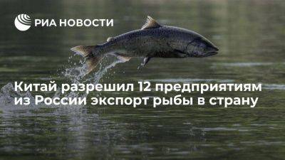 Россельхознадзор: Китай разрешил 12 рыбным предприятиям из РФ экспорт продукции