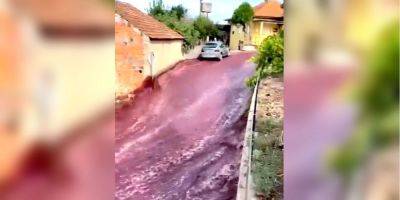 В Португалии река из вина затопила город Анадия — видео