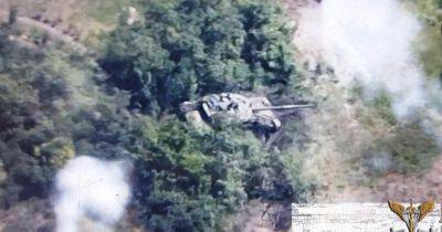 Украинские "Гострі Картузи" уничтожили танк РФ на левобережье Днепра (видео)