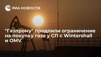 Путин продлил запрет для "Газпрома" на покупку газа у СП с Wintershall и OMV