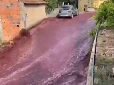 В Португалии "наводнение" из красного вина - unn.com.ua - Украина - Киев - Португалия - Экология