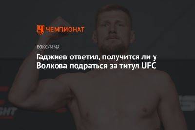 Александр Волков - Камил Гаджиев - Гаджиев ответил, получится ли у Волкова подраться за титул UFC - championat.com - Австралия