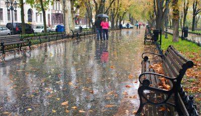 Дожди и похолодание: синоптик Диденко предупредила о погоде на вторник 12 сентября и до конца недели