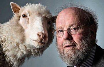 Умер шотландский ученый, клонировавший овечку Долли