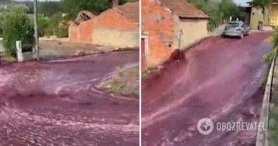 В Португалии из-за аварии на винодельне улицу затопило вином – видео и подробности
