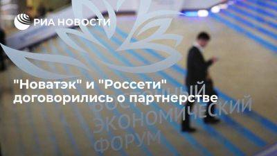 "Новатэк" и "Россети" договорились о партнерстве в рамках "Мурманского СПГ"