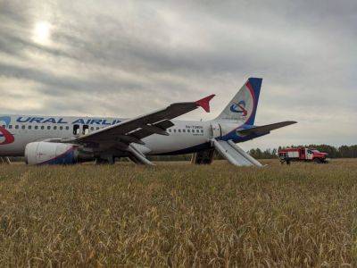 Пассажирский самолет сел в поле в России из-за отказа гидросистемы - фото и видео