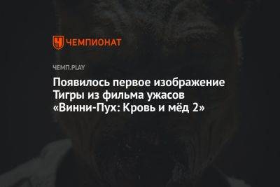 Появилось первое изображение Тигры из фильма ужасов «Винни-Пух: Кровь и мёд 2»