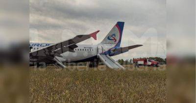 Отказала гидросистема: самолет с более 150 пассажирами аварийно сел в чистом поле под Новосибирском (фото, видео)