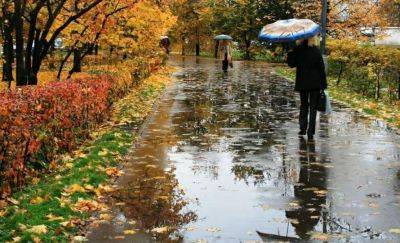 В Украине сильно испортится погода: когда придут дожди и резкое похолодание