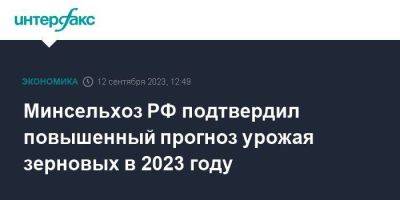 Минсельхоз РФ подтвердил повышенный прогноз урожая зерновых в 2023 году