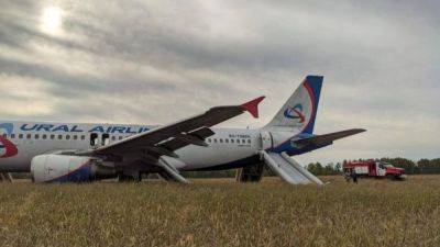 Пассажирский A320 совершил посадку в поле в Новосибирской области