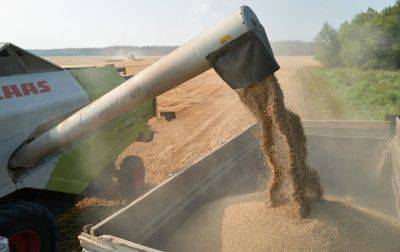 Денис Шмыгаль - Запрет импорта зерна: Украина обратится в ВТО - korrespondent.net - Украина - Польша - Торговля