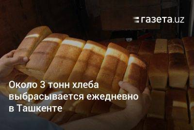 Около 3 тонн хлеба выбрасывается ежедневно в Ташкенте