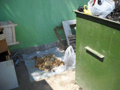 Ташкентцы ежедневно выбрасывают в мусор три тонны хлеба