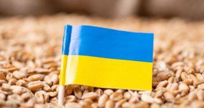 Правительство Польши официально продлило запрет на поставку зерна из Украины