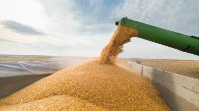 Запрет на импорт украинского зерна: правительство Польши поставило ультиматум Еврокомиссии