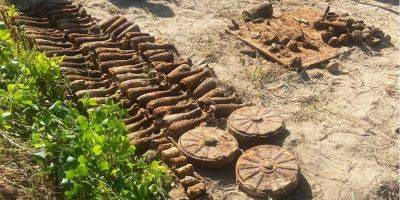 Копала картошку. В Житомире женщина нашла на огороде 85 мин и 8 гранат