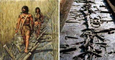 Жемчужина неолита: как 6000-летнее наследие доисторической изобретательности переписывает историю (фото)