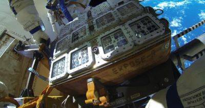Комбуча на Марсе: найден ключ к выживанию астронавтов на других планетах - focus.ua - Украина
