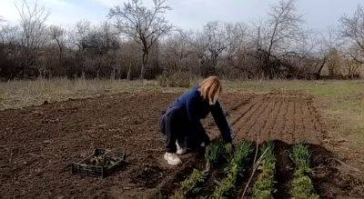 Вышли на огород - и сразу попали на штраф в 3600 гривен: чем рискуют украинцы, имеющие свою землю