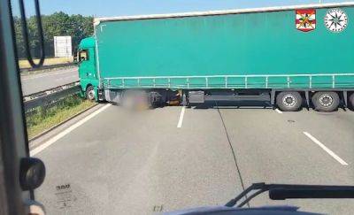 В Чехии вдрызг пьяный водитель фуры перегородил автомагистраль: видео